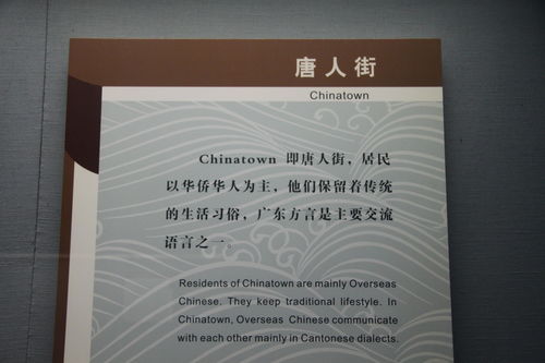 从海外社团到民族实业 华侨归国创业的历史足迹