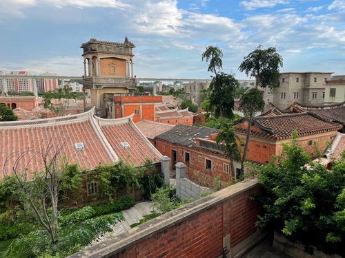 梧林南洋梦 起大厝与实业报国的家国情怀