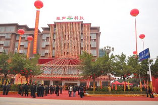 广东振声科技股份 投资兴办实业的战略布局与前景展望