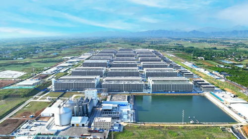 逐绿而行 河南加快构建废弃物循环利用体系 投资兴办实业